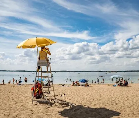 Les Aux D'orient Géraudot