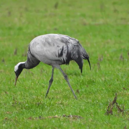 Alpesi faház Les Aux D'orient Géraudot