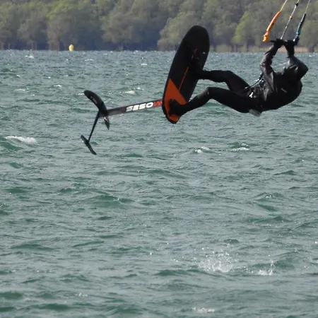 Les Aux D'orient * Geraudot