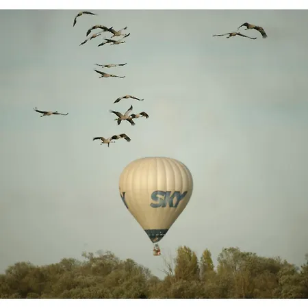 Les Aux D'orient * Géraudot