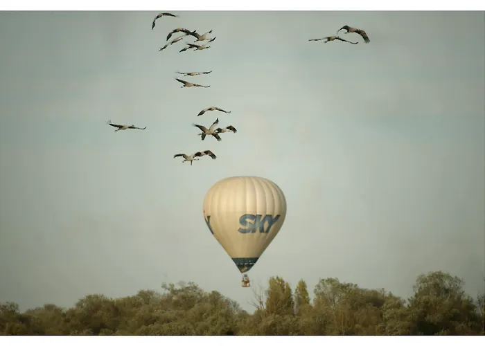 Les Aux D'orient * Geraudot